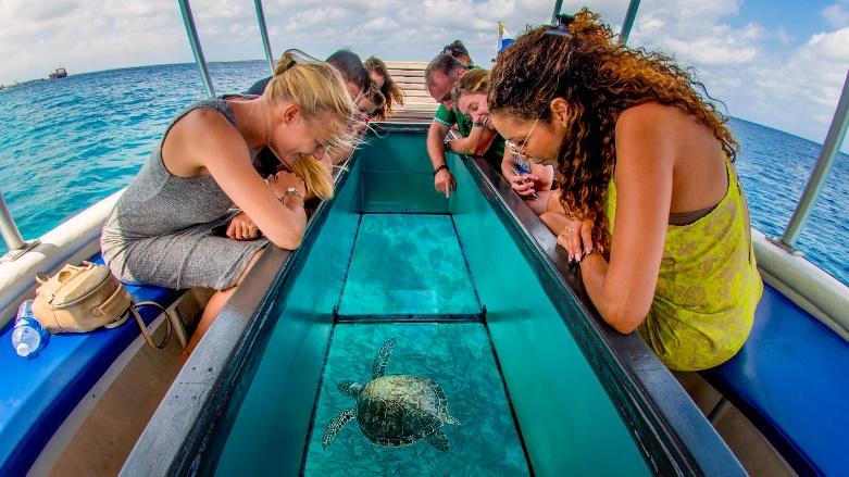 Belize Glass Bottom Boat Ride and Snorkel