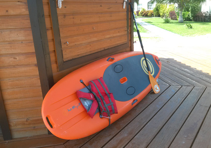 paddleboards for rent